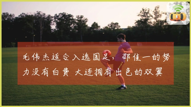 毛伟杰适合入选国足，邵佳一的努力没有白费 大连拥有出色的双翼 李国旭果断选择