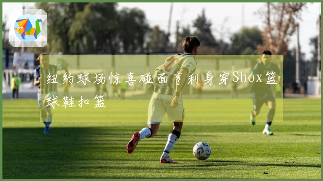 纽约球场惊喜碰面亨利身穿Shox篮球鞋扣篮